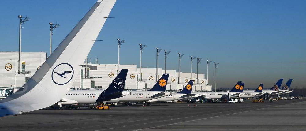 Flugzeuge der Lufthansa stehen auf dem Münchner Flughafen (Archivbild) 