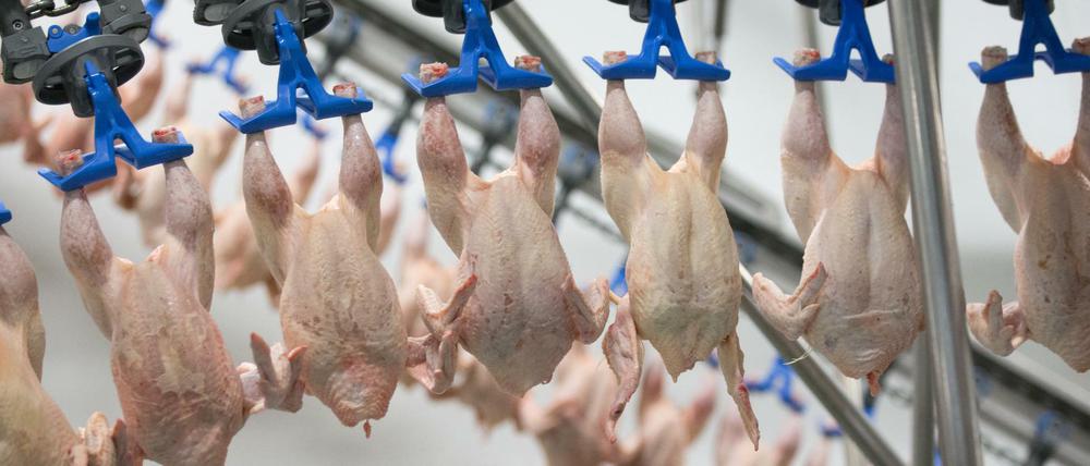 66 Menschen sind in einem Wiesenhof-Hähnchenschlachthof im niedersächsischen Lohne positiv auf das Coronavirus getestet worden.