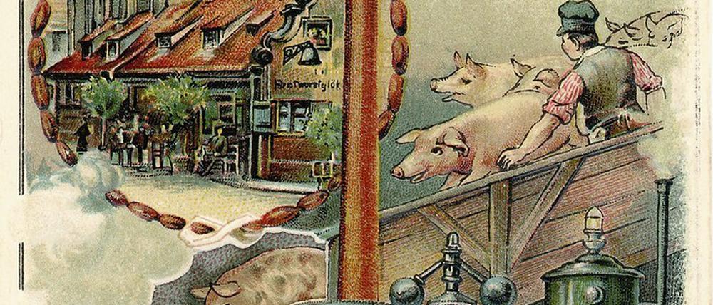 Postkarte, auf der der Weg vom lebenden Schwein zur Wurst illustriert ist.