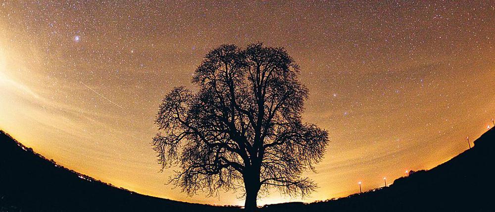 Tausende Sterne. Blick in den Himmel nahe der der brandenburgischen Ortschaft Lietzen. Am oberen Bildrand ist ein Teil der Milchstraße zu sehen. Die Aufnahme entstand mit einer Langzeitbelichtung von 30 Sekunden mit Blick in Richtung Norden. Die Striche am Himmel entstehen durch die Positionslichter von Flugzeugen.