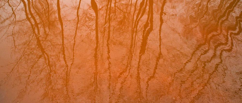 Bräunlich-rot ist das Wasser eines Fließes am Naturspreewaldhafen in Ragow nahe Lübben (Brandenburg) gefärbt.